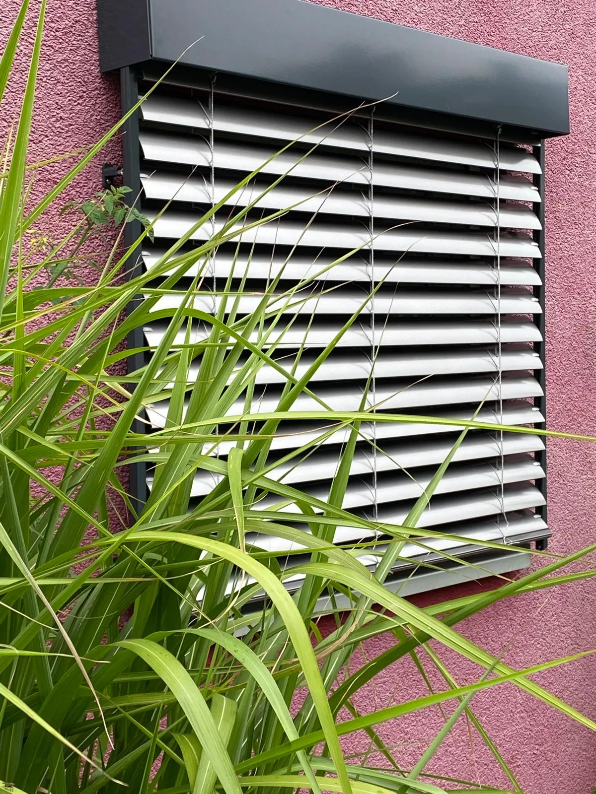Raffstore fenster